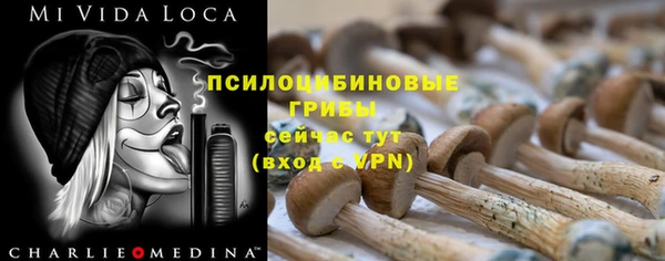 кристаллы Горняк