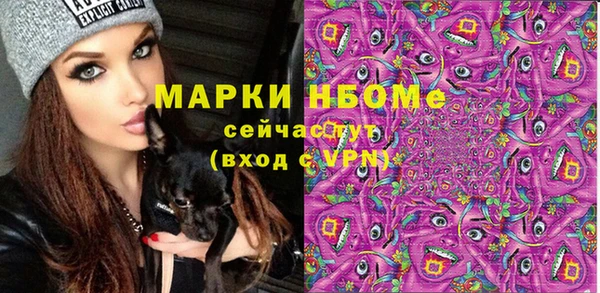 гидропоника Гусь-Хрустальный