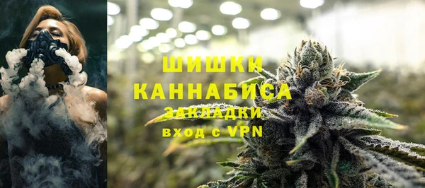 ALPHA PVP Горно-Алтайск