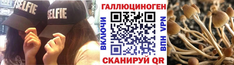 где купить наркотик  Каспийск  гидра   Псилоцибиновые грибы мицелий 